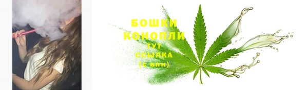 ALPHA PVP Краснослободск