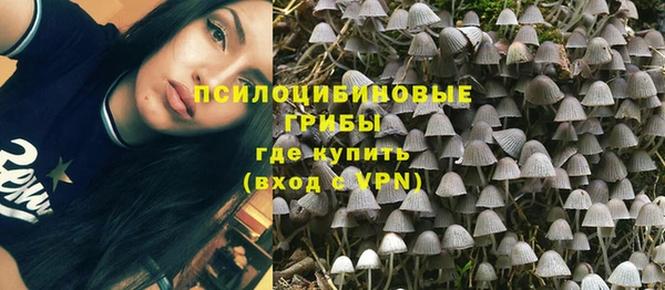 PSILOCYBIN Красноперекопск