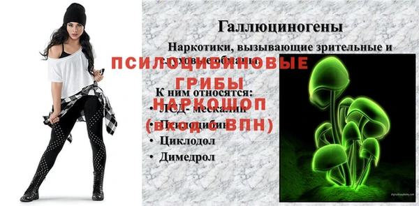 дживик Кинешма